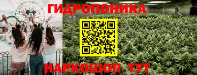 индика Берёзовский