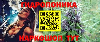 индика Берёзовский
