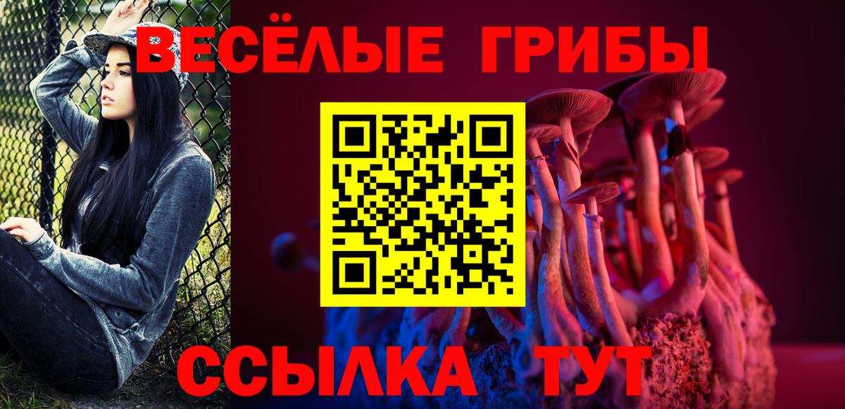 Галлюциногенные грибы MAGIC MUSHROOMS Долгопрудный