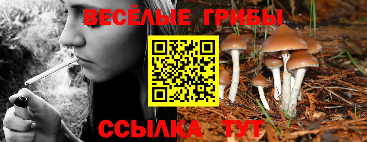 Псилоцибиновые грибы MAGIC MUSHROOMS  Галлюциногенные грибы GOLDEN TEACHER  Вход с VPN  Долгопрудный 